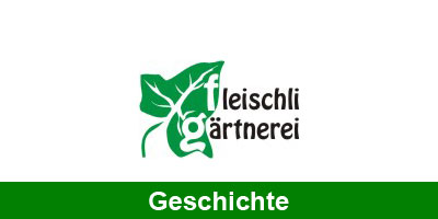 Geschichte